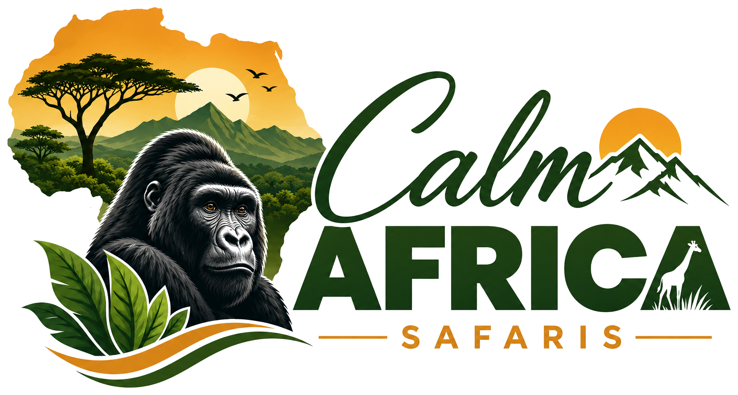 Calm Africa Safaris