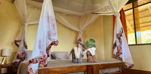 Bwindi Budget Lodge image
