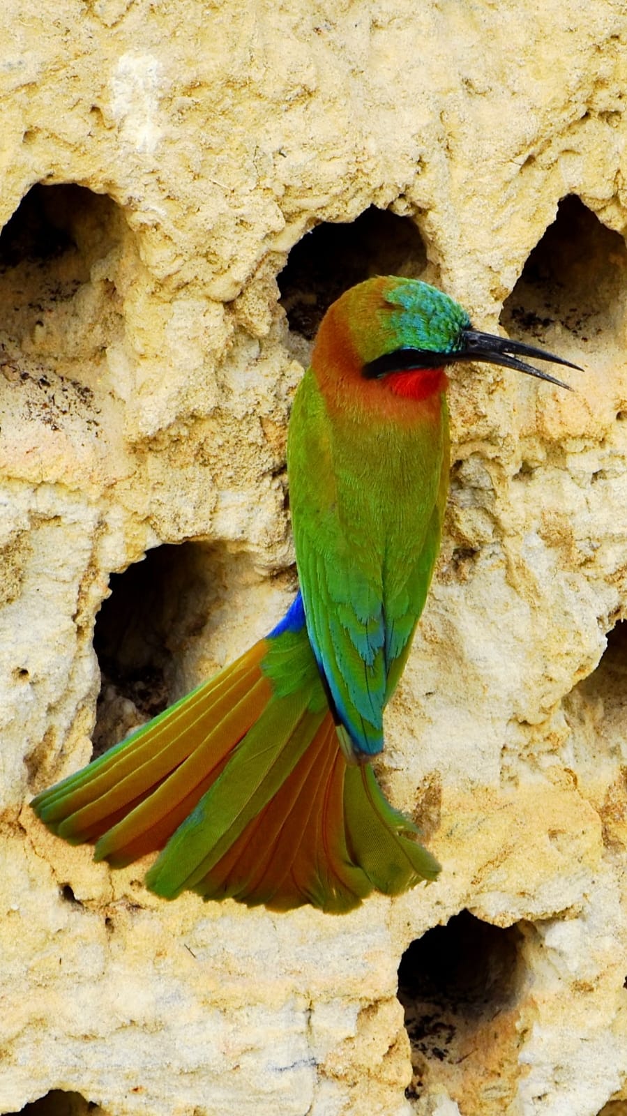 Queen Elizabeth National Park