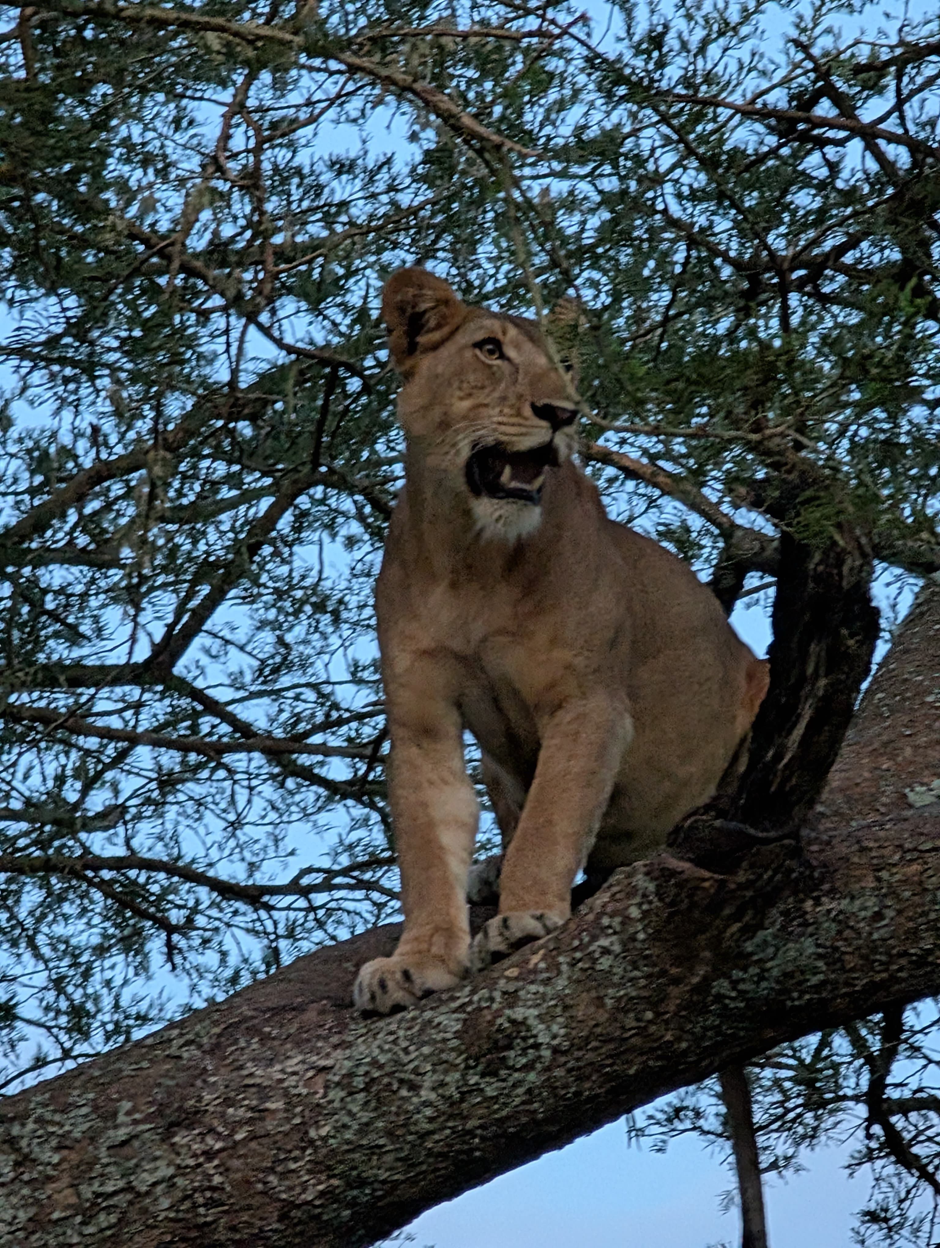 Queen Elizabeth National Park