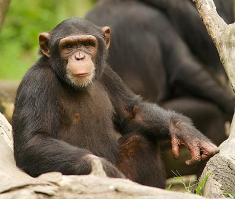 Murchison Falls National Park