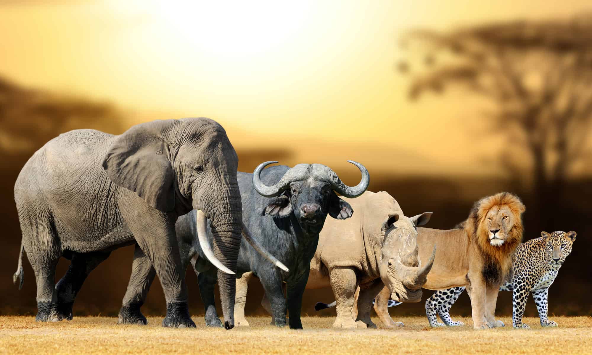 Murchison Falls National Park