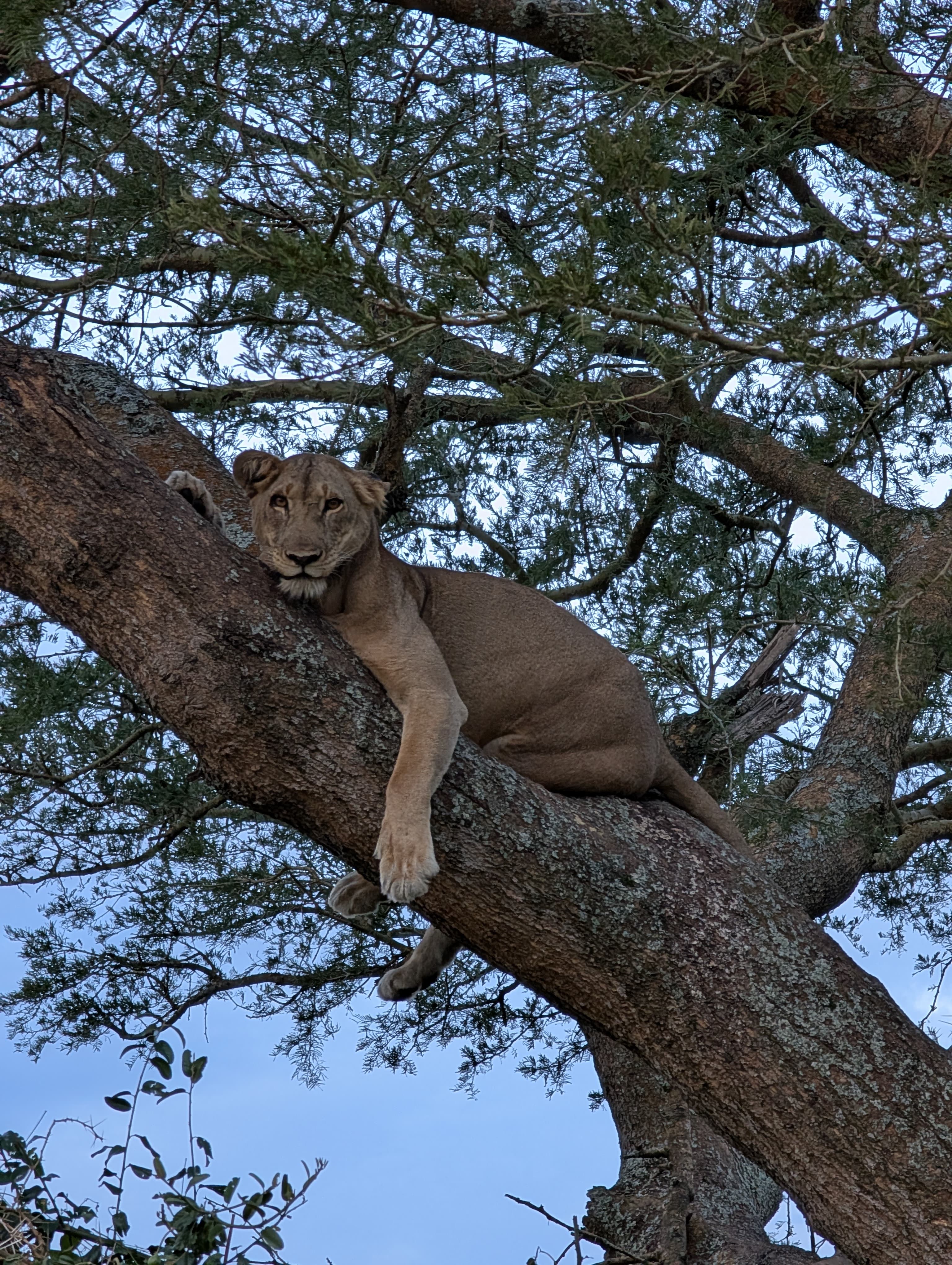 Queen Elizabeth National Park
