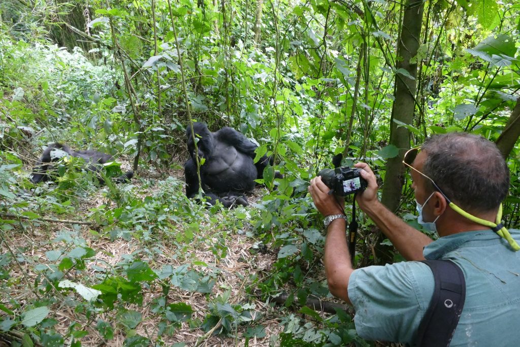 Gorilla trekking in Mgahinga National Park