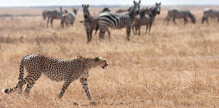 Kidepo Valley National Park - One of Uganda's Most Remote Best Places to Visit