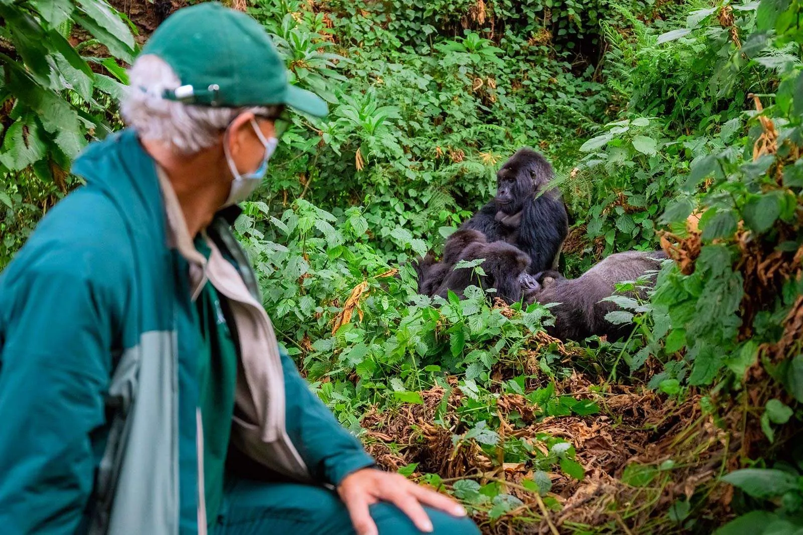 7-Day Uganda Budget Safari