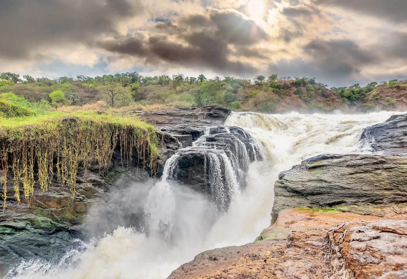 3-Day Murchison Falls National Park Safari