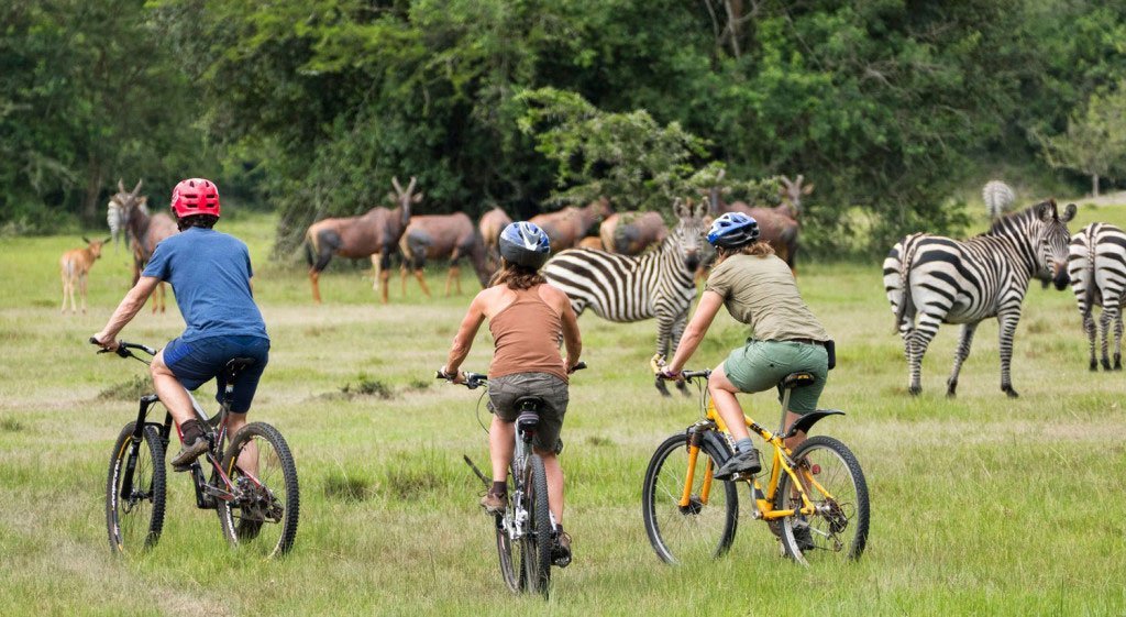 Lake Mburo Uganda Budget Safari Adventure