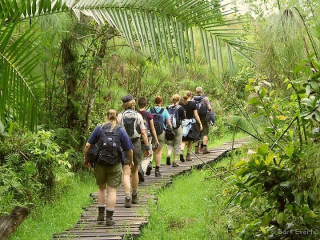 Nature walk at Bigodi Wetland Sanctuary near Kibale