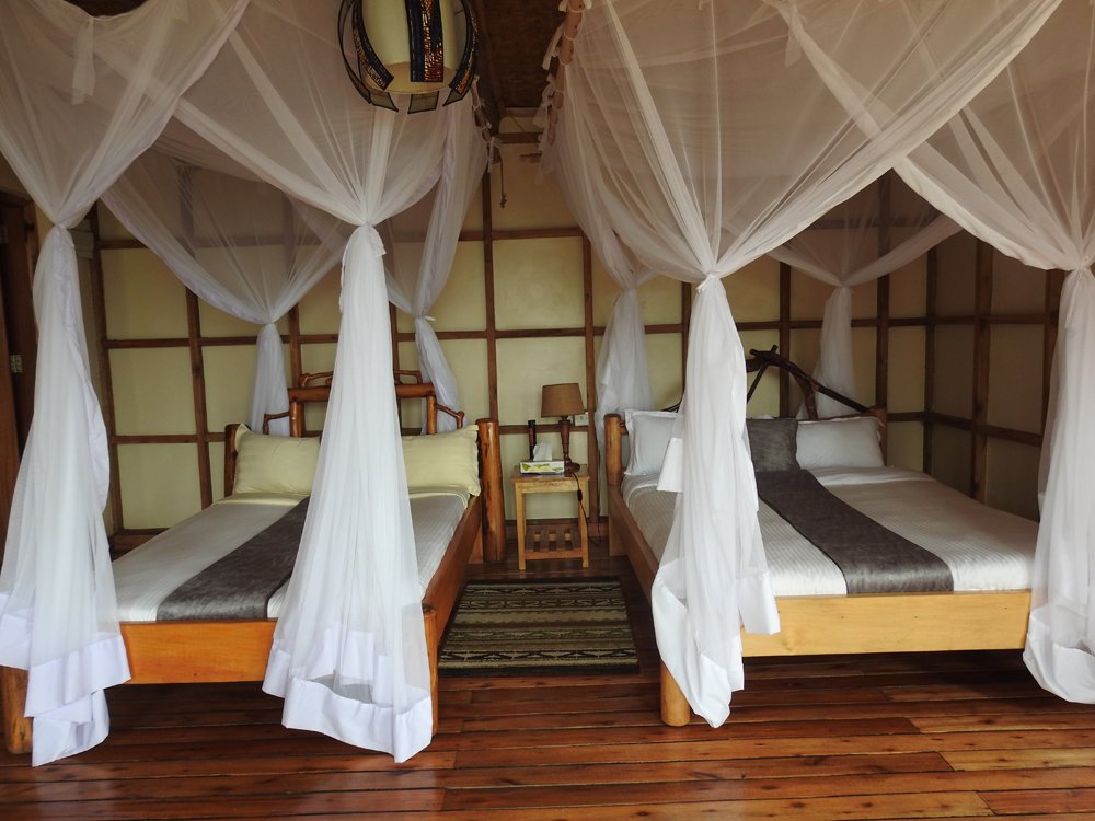Uganda safari wildlife experience in Queen Elizabeth National Park