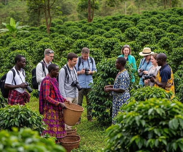 Coffee Cultural Experience Uganda