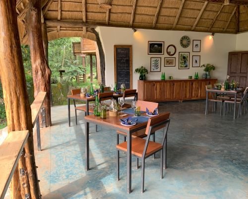 Turaco Treetops Lodge accommodation near Kibale Forest