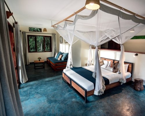 Turaco Treetops Lodge standard rooms in Kibale