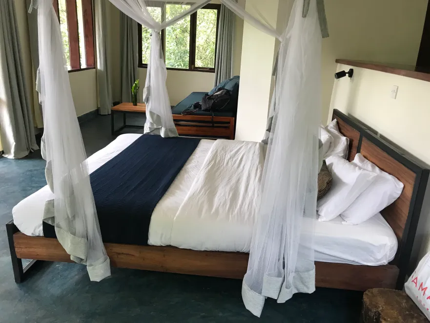 6 Days Uganda Gorilla, Chimpanzee & Wildlife Safari