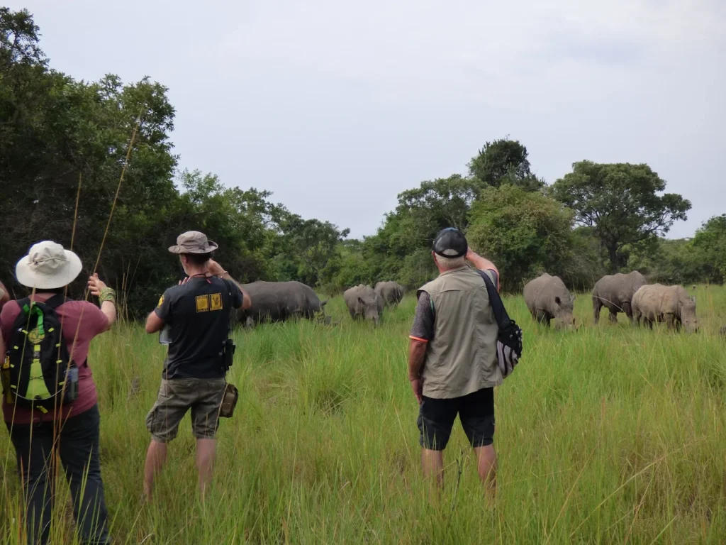 3 Days Murchison Falls Wildlife Safari