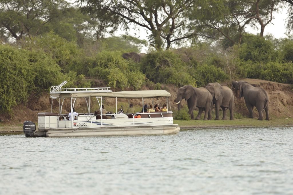 3 Days Queen Elizabeth National Park Safari