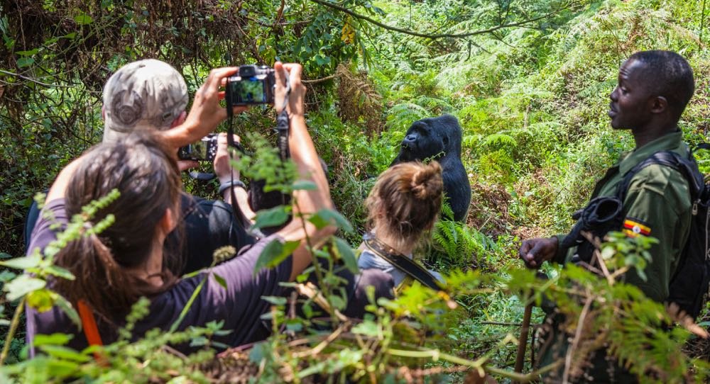 6 Days Uganda Gorilla, Chimpanzee & Wildlife Safari