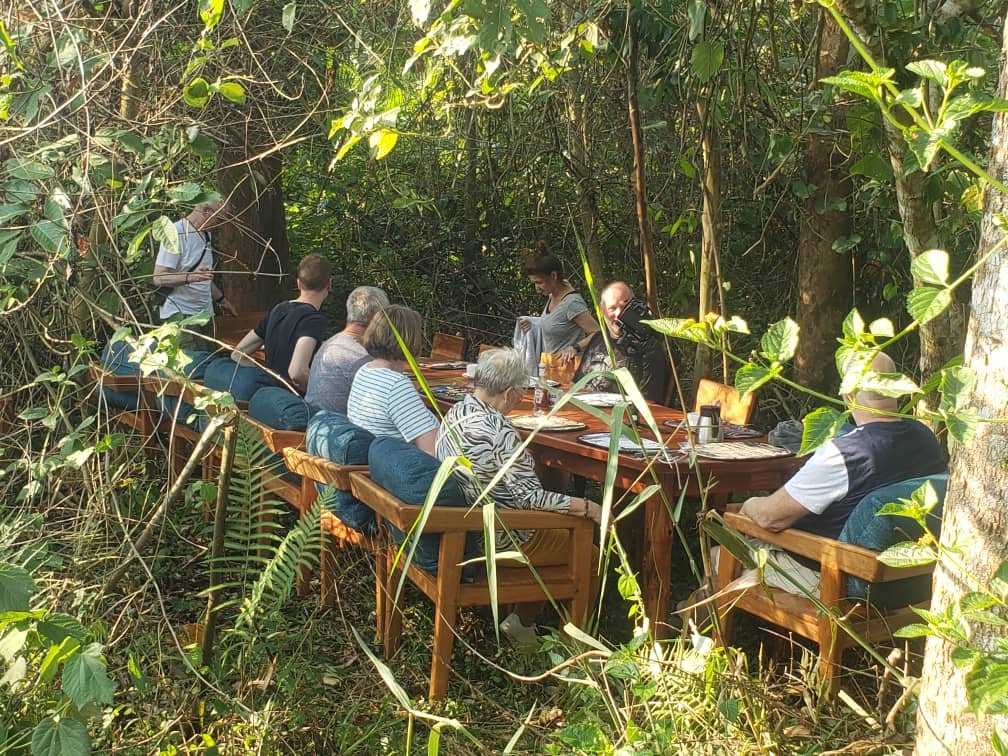 Chimpanzee Experience Uganda