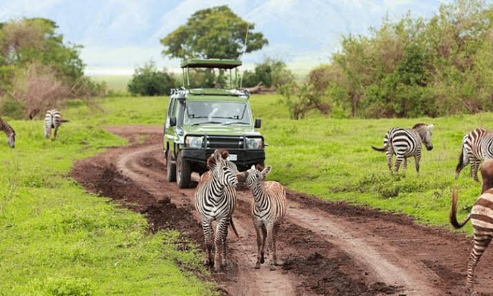 Authentic Uganda wildlife safari adventure