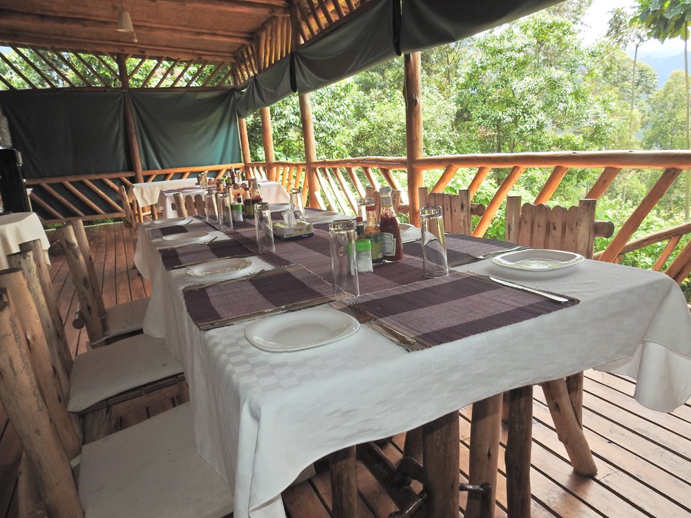 Buhoma Community Rest Camp forest surroundings