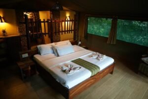 Kibale Forest Camp