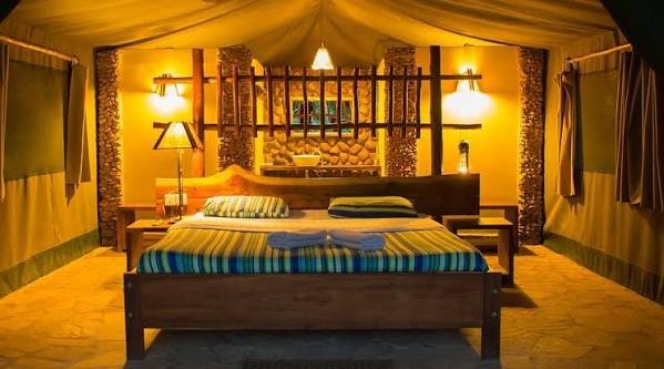 Kibale Forest Camp in Kibale National Park