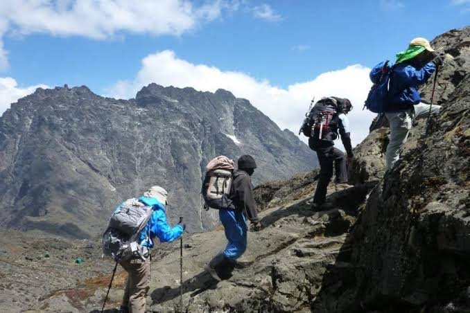 Rwenzori Mountains trekking and alpine landscape Uganda