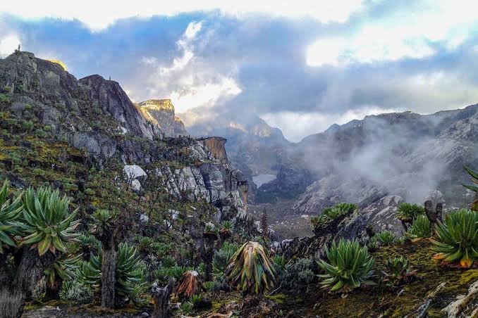 Rwenzori Mountains National Park trekking scenery