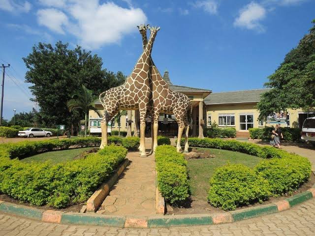 Uganda Wildlife Conservation Education Centre on an Entebbe and Lake Victoria Safari