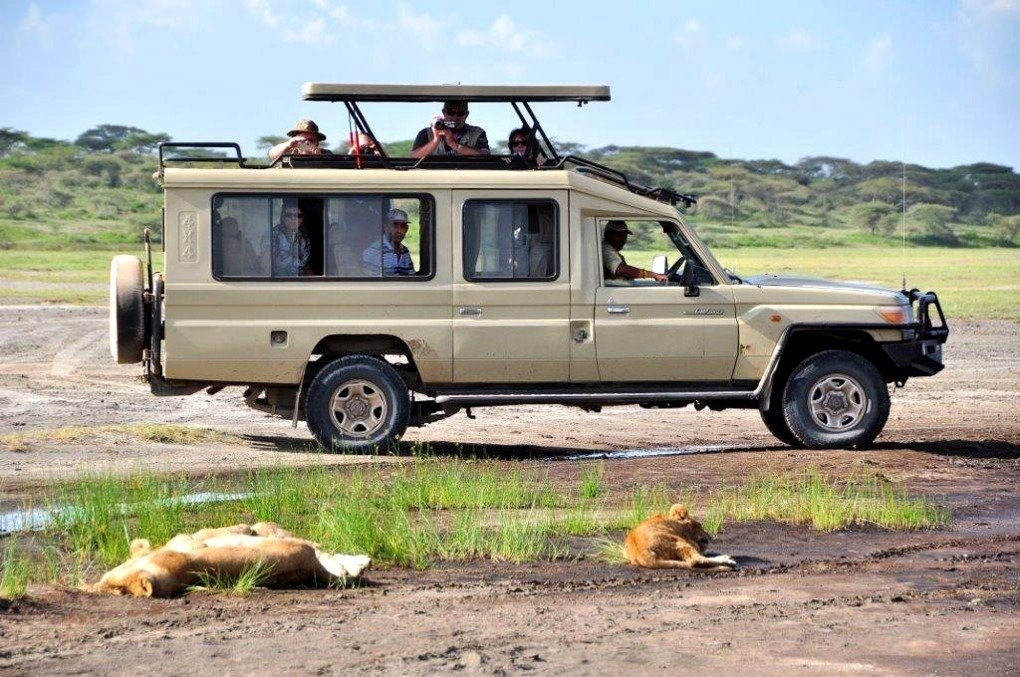 9 Days Uganda Primates and Wildlife Safari