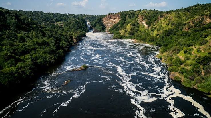Boat experience at the Source of the Nile Jinja