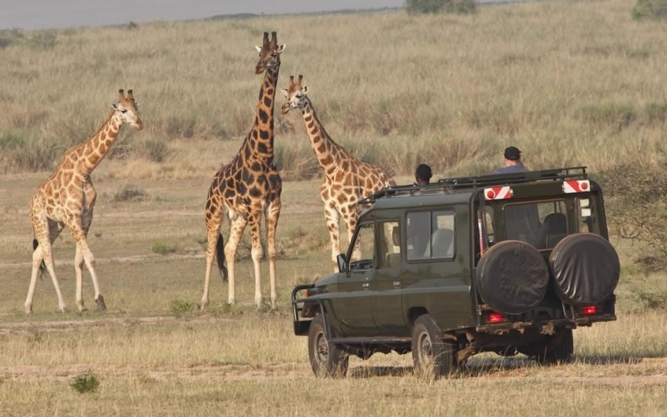 Akagera National Park Rwanda wildlife safari